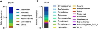 In vitro evaluation of the immunomodulatory and wakame assimilation properties of Lactiplantibacillus plantarum strains from swine milk